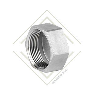 TAPON HEXAGONAL NPT HEMBRA SS316L 1"