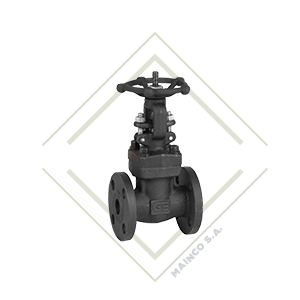 VALVULA COMPUERTA FLANGE 2" A/FORJADO JUNTA SS304 19 BAR (-29°C-420°C)